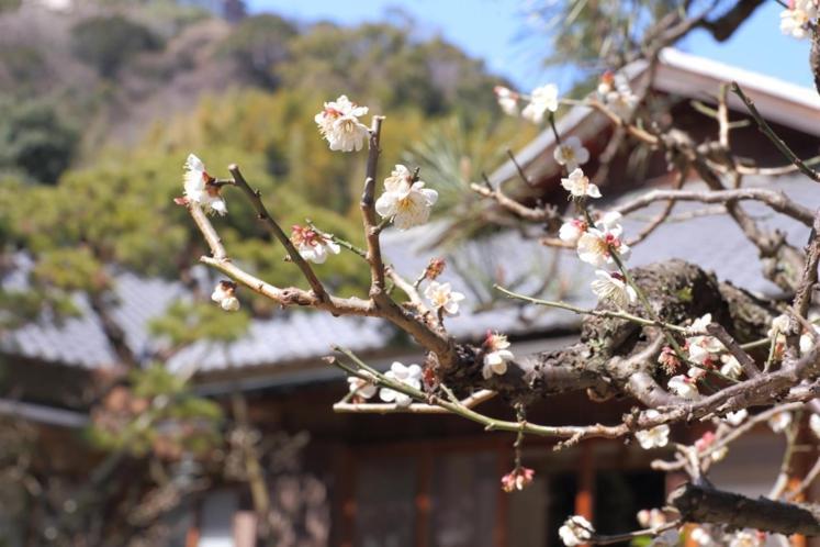 Koarashitei Hotel Atami  Bagian luar foto